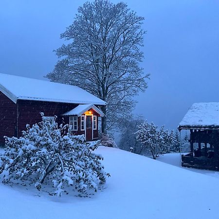 « Sofly Cottage », Le Charme Pur Noresund Exterior photo